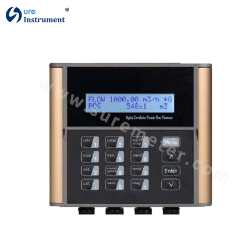 DS116 Series Ultrasonic Flowmeter